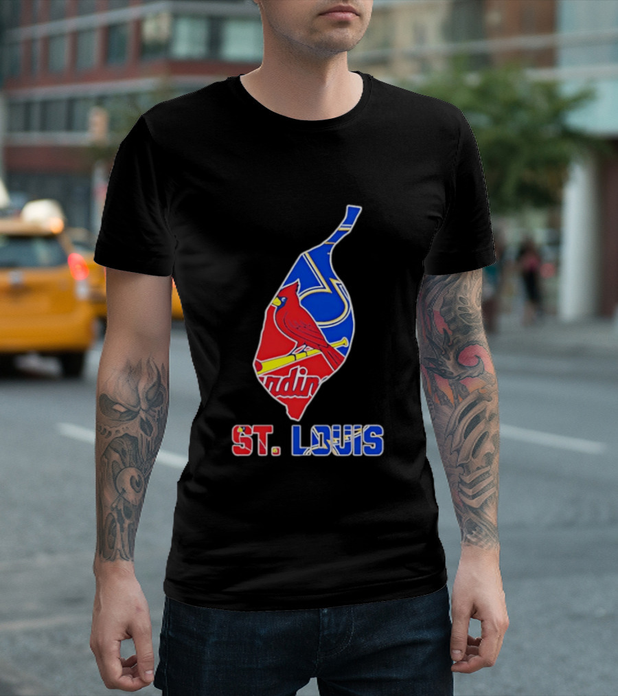 St. Louis Cardinals And Blues Team Spirit T-Shirt