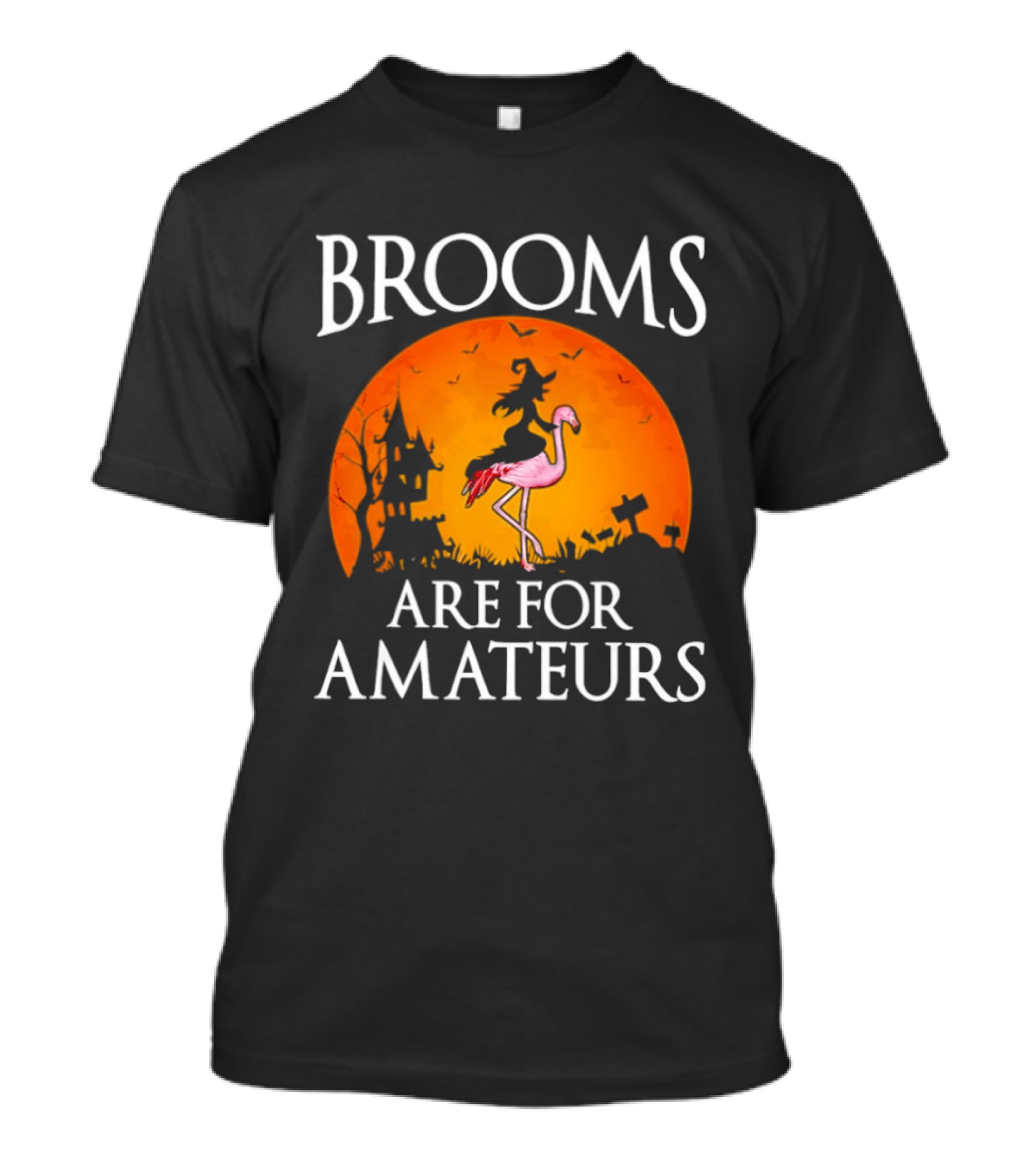 Brooms Are For Amateurs Flamingo Witch Halloween T-Shirt
