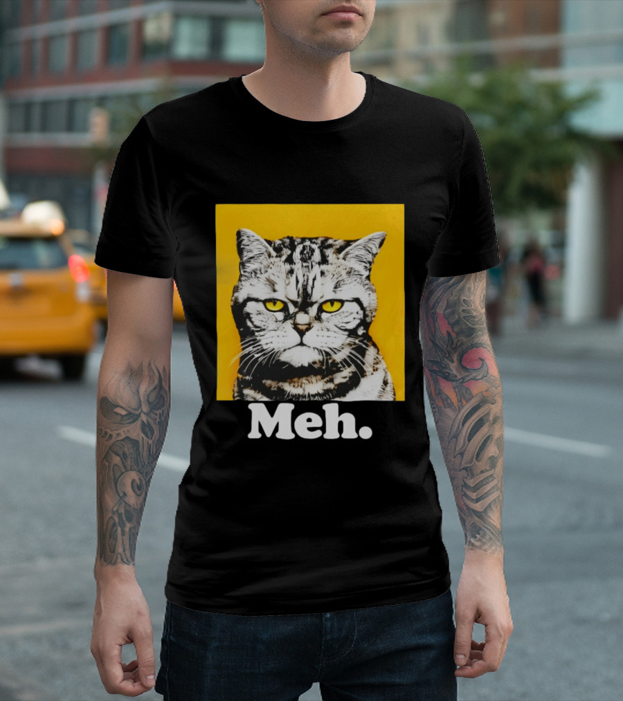 Meh Angry Cat With Yellow Eyes T-Shirt