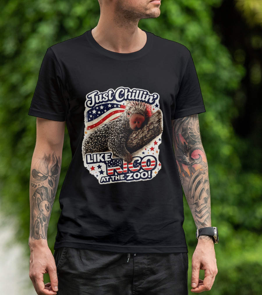 Just Chillin' Like Rico At The Zoo Patriotic Porcupine Vibes T-Shirt