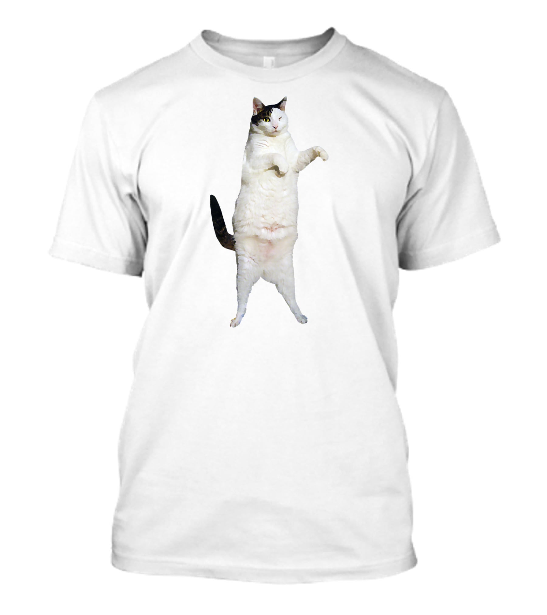 Kitty Cat Dance Meme T-Shirt