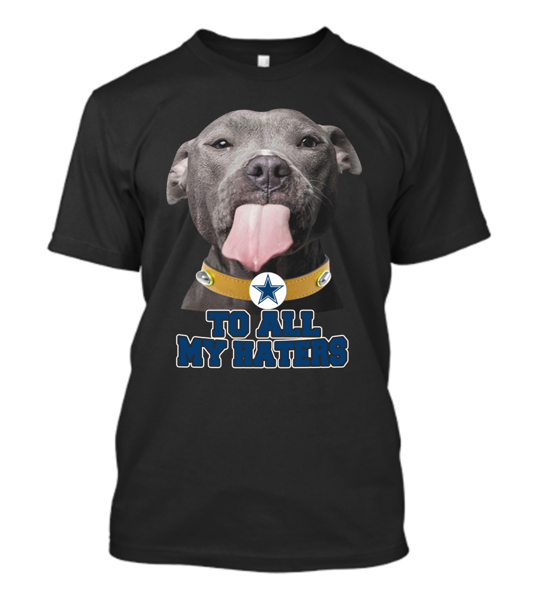 Cowboys Star Pitbull Humor To All My Haters T-Shirt