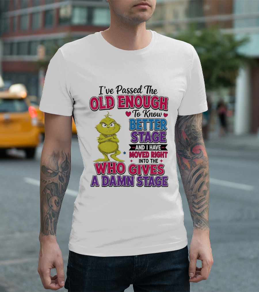 Passed The Old Enough To Know Better Moved Right Into The Who Gives A Damn Stage T-Shirt