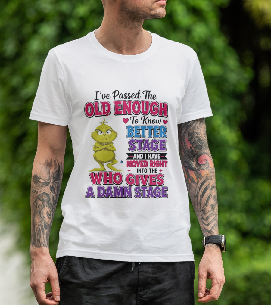 Passed The Old Enough To Know Better Moved Right Into The Who Gives A Damn Stage T-Shirt