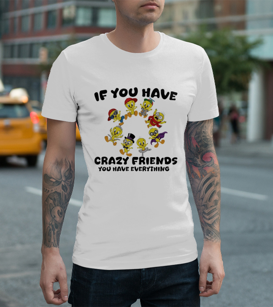If You Have Crazy Friends You Have Everything Tweety Bird Characters T-Shirt