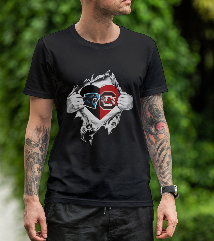 Carolina Panthers South Carolina Gamecocks Heart T-Shirt
