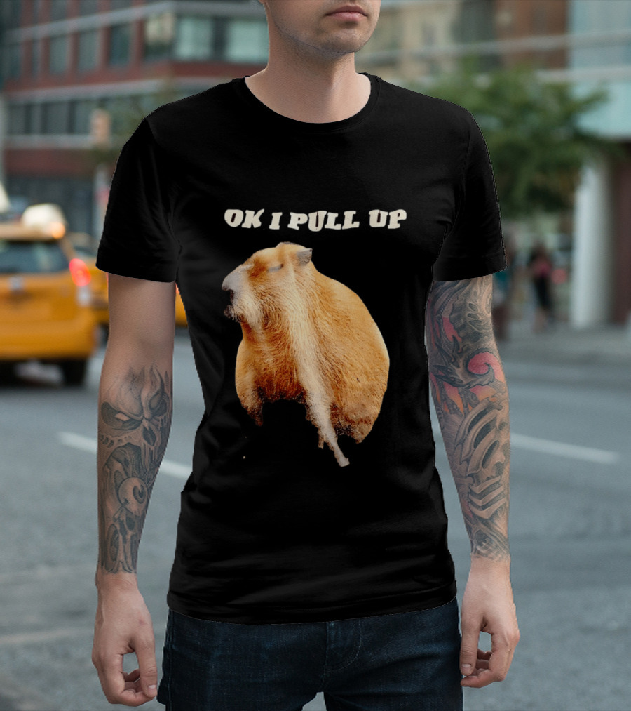 Ok I Pull Up Capybara Meme T-Shirt