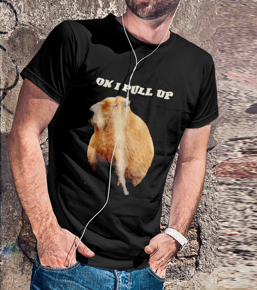 Ok I Pull Up Capybara Meme T-Shirt