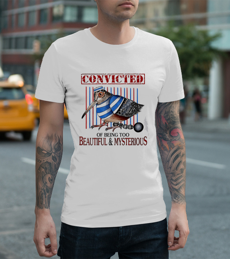 Convicted Of Being Too Beautiful And Mysterious Bird Prisoner Stripes T-Shirt