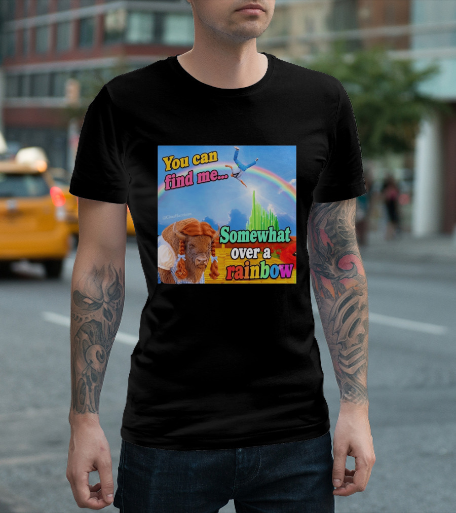 You Can Find Me Somewhat Over A Rainbow Bison Meme T-Shirt