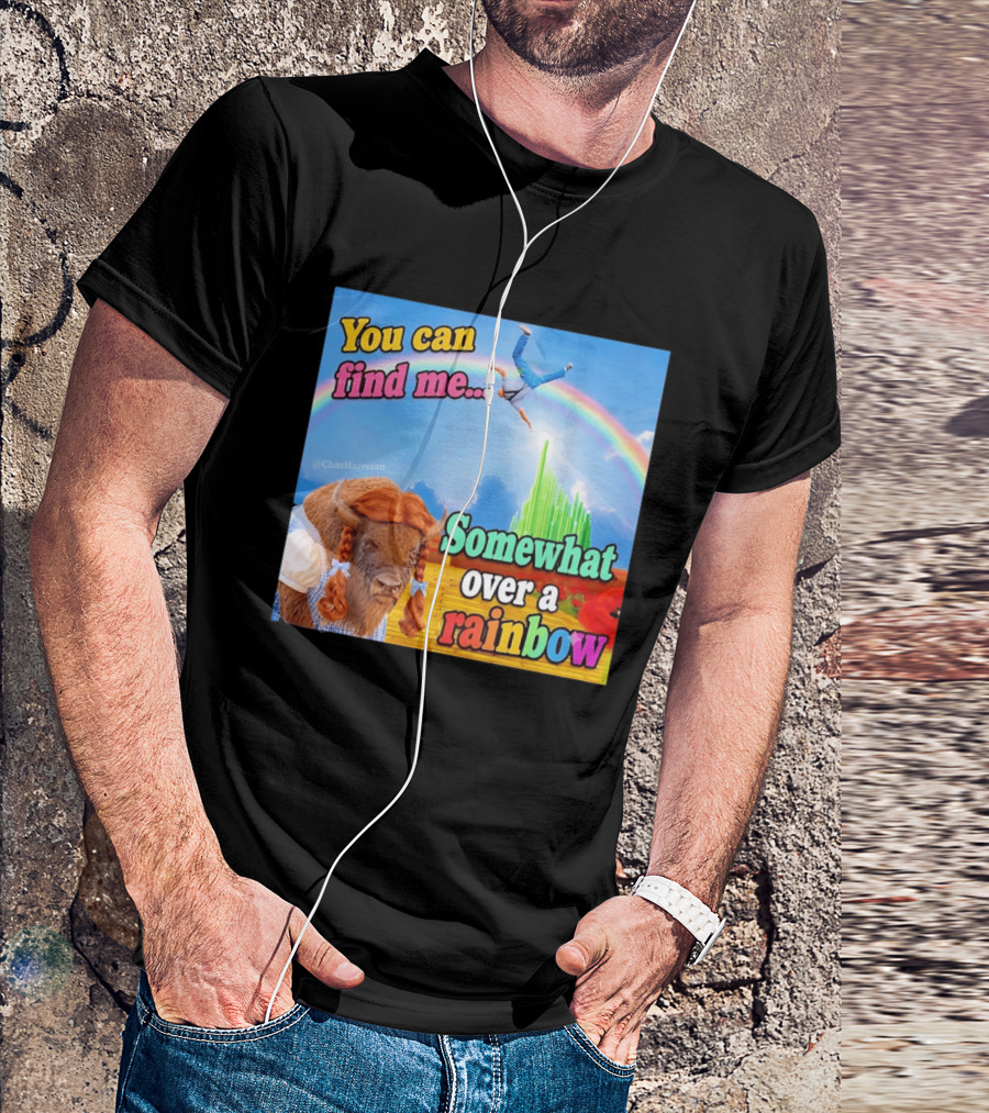 You Can Find Me Somewhat Over A Rainbow Bison Meme T-Shirt