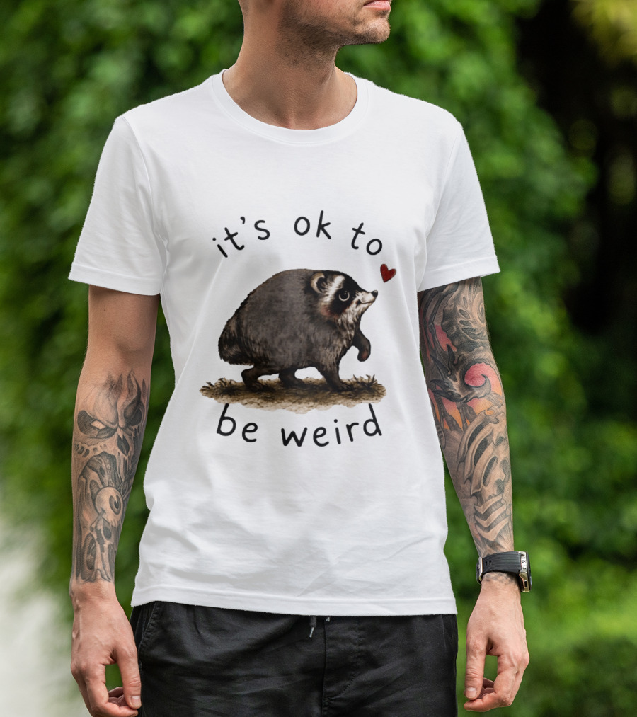 Raccoon It's Ok To Be Weird Cute Heart T-Shirt