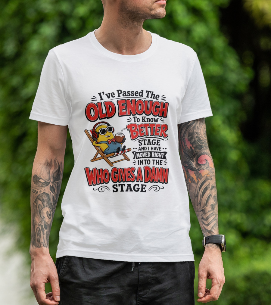 Minion I've Passed The Old Enough To Know Better Stage Who Gives A Damn Stage T-Shirt