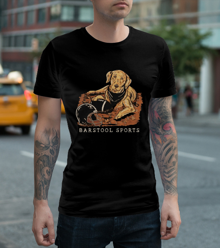 Barstool Sports Fall Football Dog With Helmet And Leaves T-Shirt