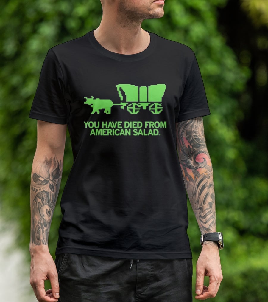 You Have Died From American Salad Ox Cart Retro Gaming Spoof T-Shirt