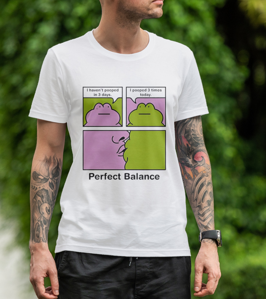 Perfect Balance Frog Meme I Haven't Pooped In 3 Days Pooped 3 Times Today T-Shirt