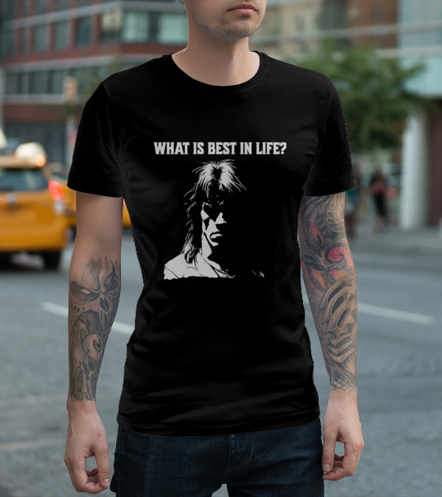 What Is Best In Life Conan The Barbarian T-Shirt