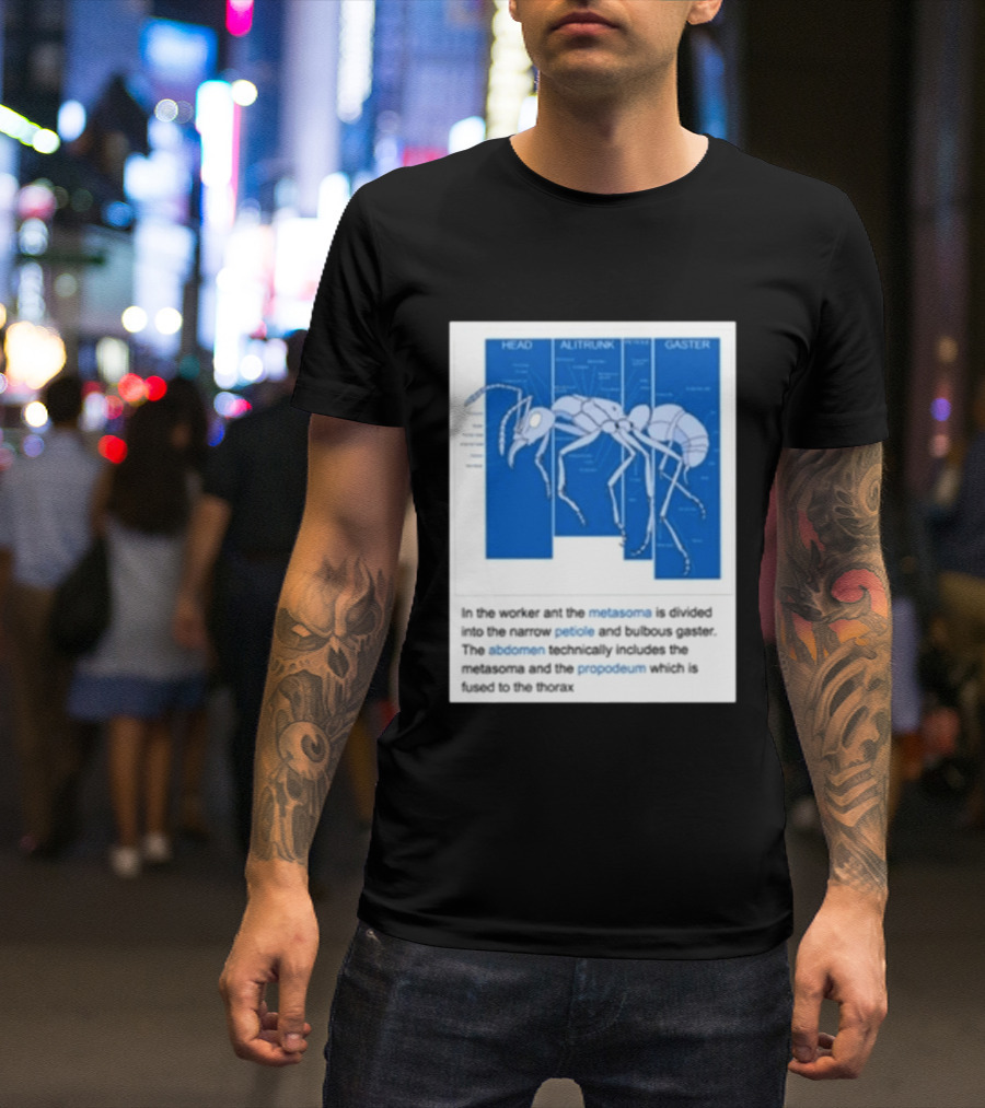 Head Alitrunk Gaster Metasoma Petiole Anatomy Of An Ant T-Shirt