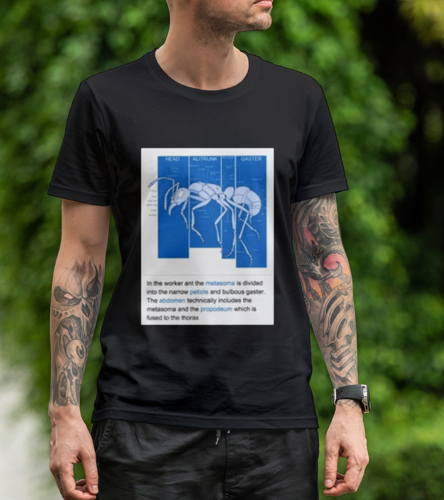 Head Alitrunk Gaster Metasoma Petiole Anatomy Of An Ant T-Shirt