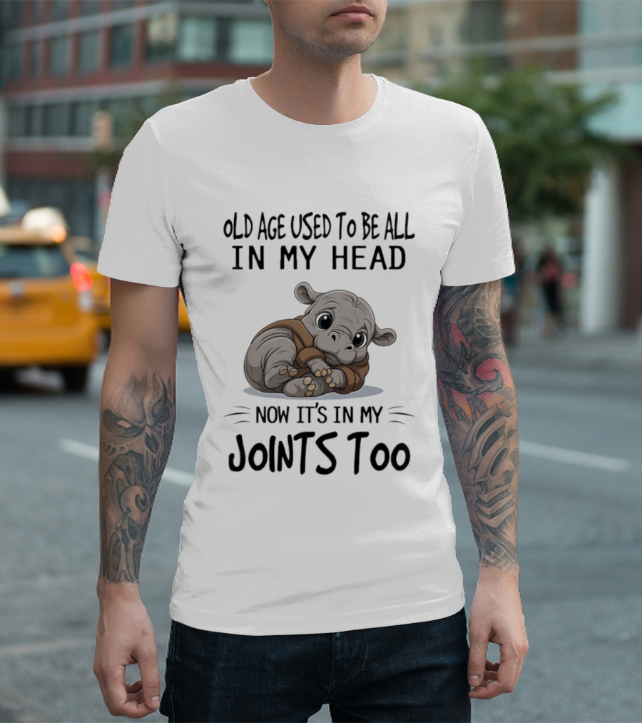 Old Age Used To Be All In My Head Now It's In My Joints Too Cute Hippopotamus T-Shirt