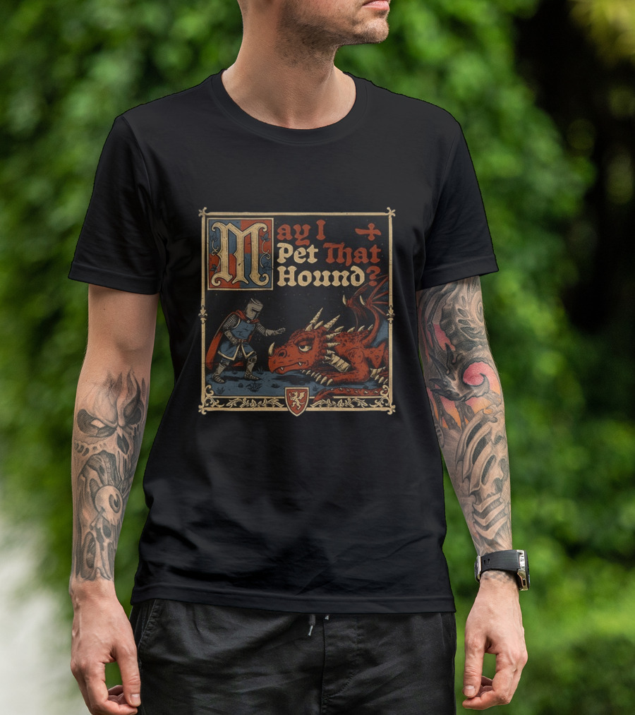 May I Pet That Hound Medieval Knight And Dragon Meme T-Shirt