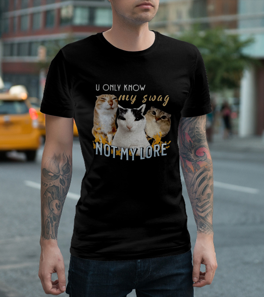 U Only Know My Swag Not My Lore Funny Cat Trio T-Shirt
