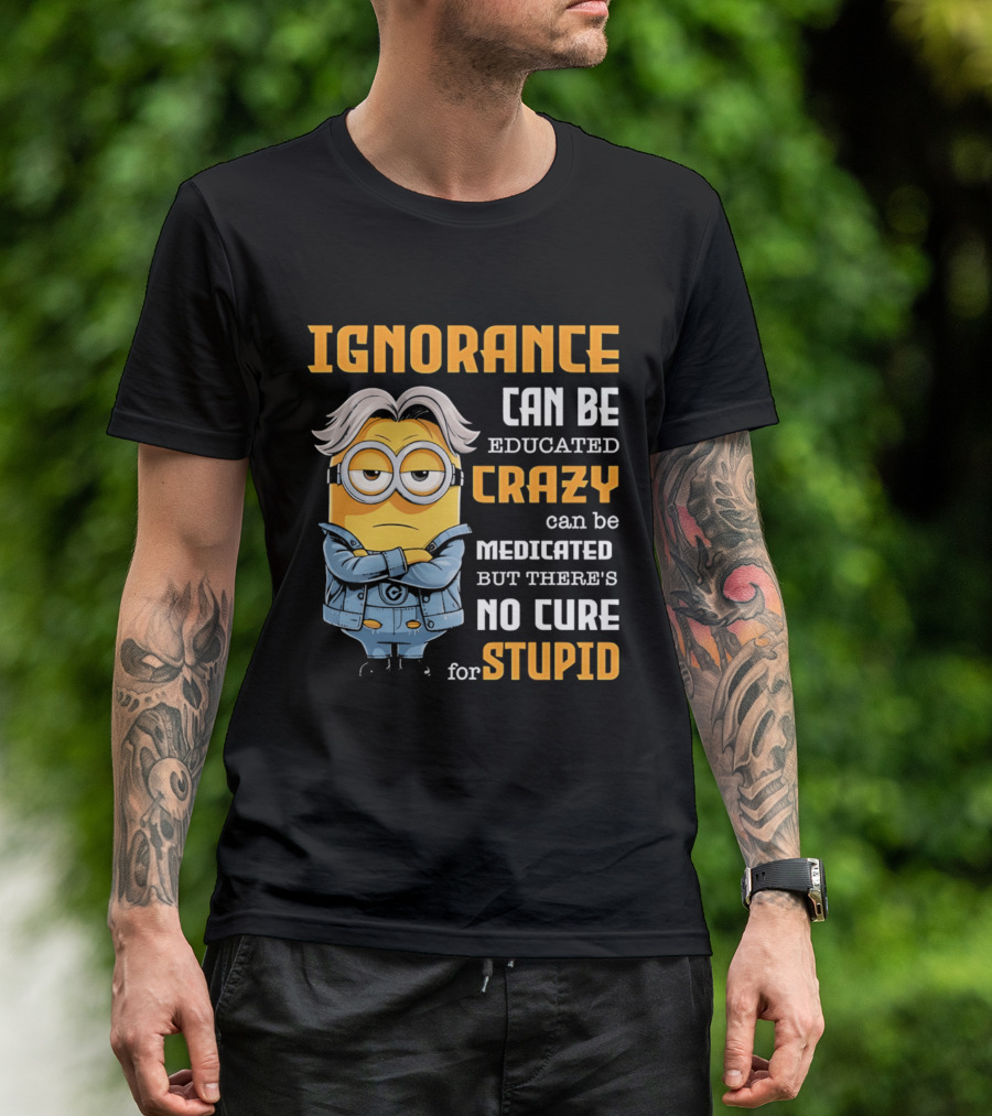 Ignorance Can Be Educated Crazy Can Be Medicated No Cure For Stupid Minion T-Shirt