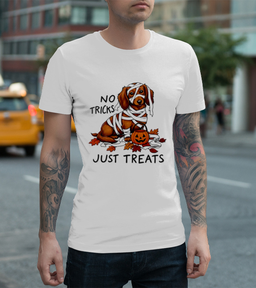 No Tricks Just Treats Dachshund Mummy Halloween Pumpkin Dog T-Shirt