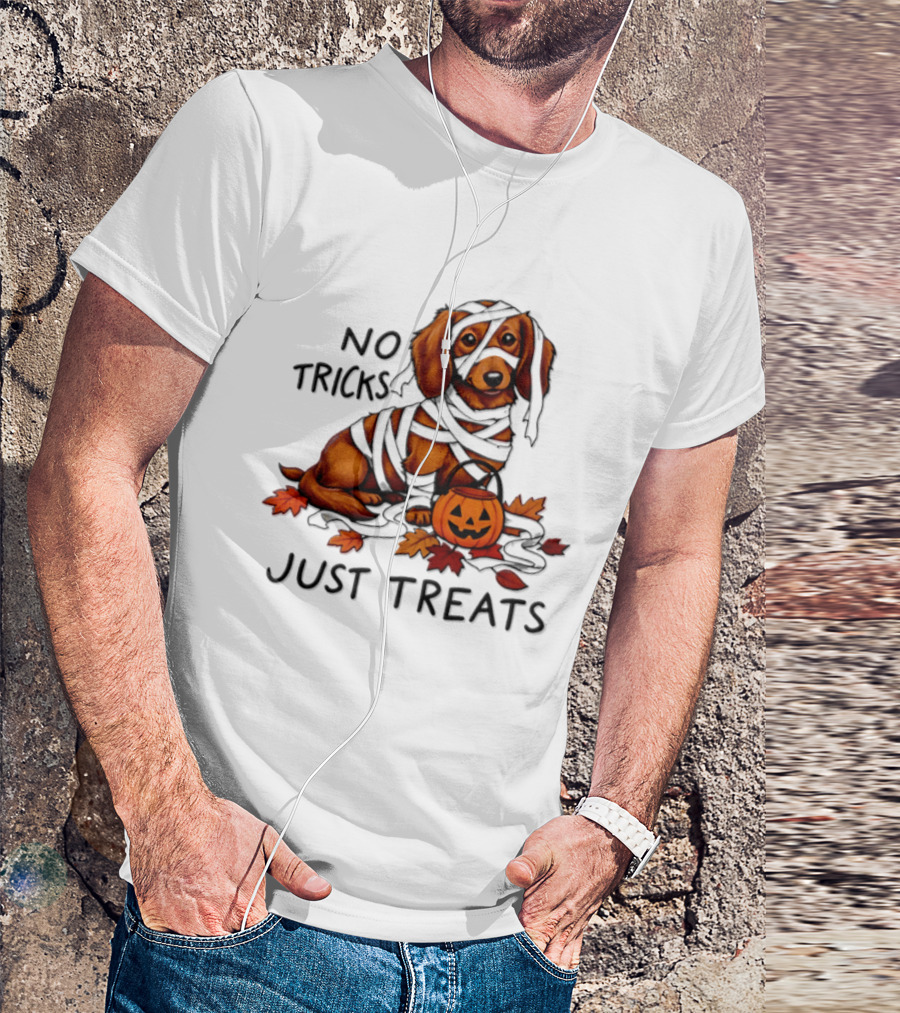 No Tricks Just Treats Dachshund Mummy Halloween Pumpkin Dog T-Shirt