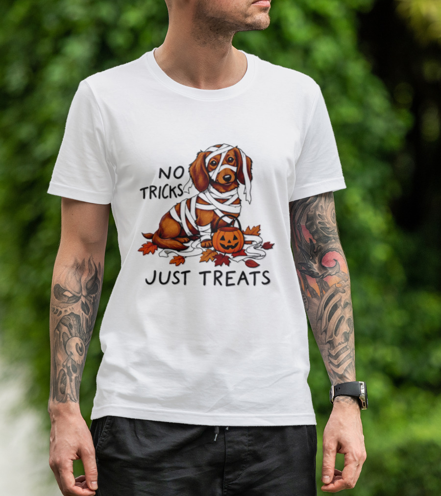 No Tricks Just Treats Dachshund Mummy Halloween Pumpkin Dog T-Shirt