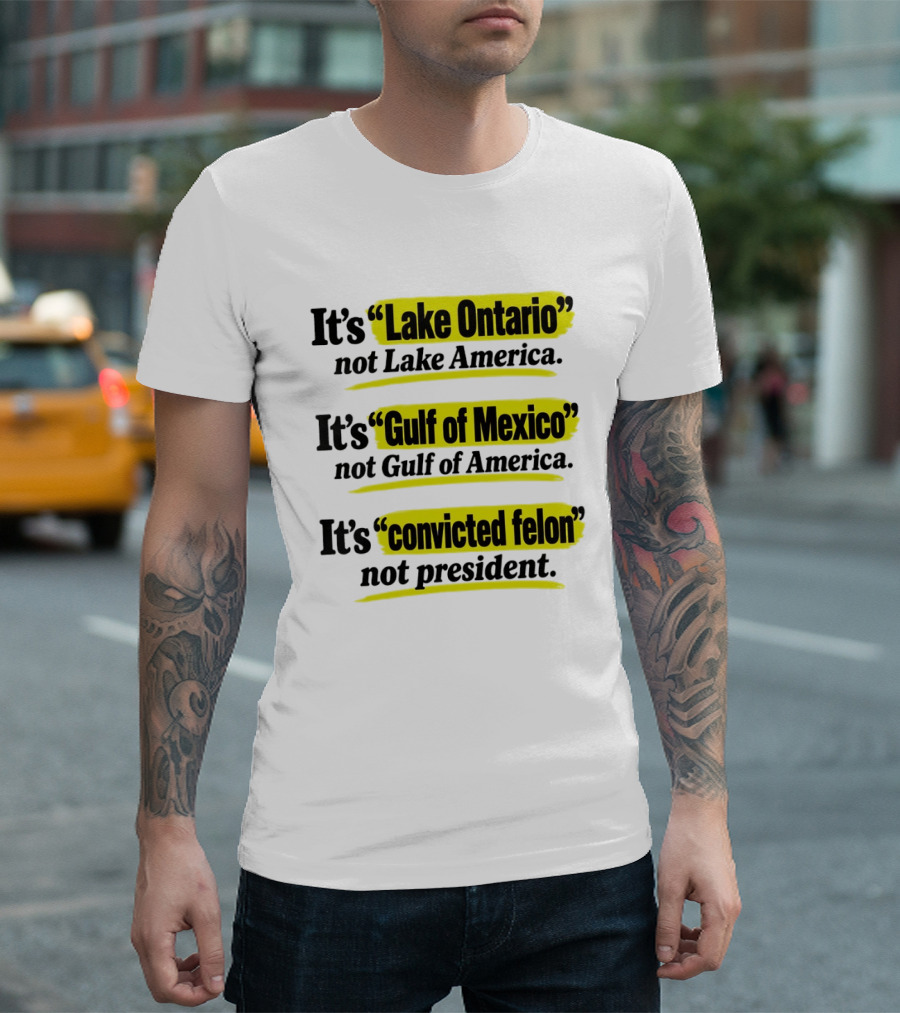 It's Lake Ontario Not Lake America Gulf Of Mexico Not Gulf Of America Convicted Felon Not President T-Shirt