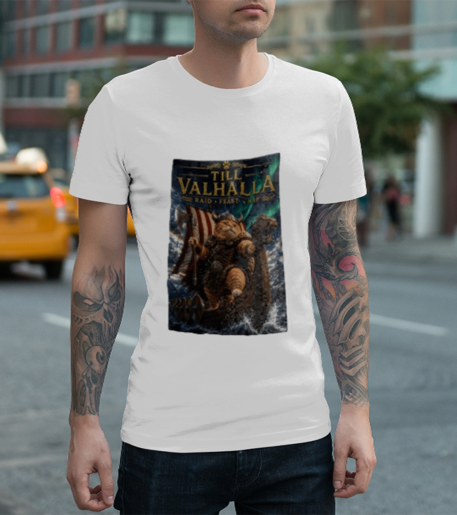 Till Valhalla Raid Feast Nap Viking Cat On Longship With Northern Lights T-Shirt