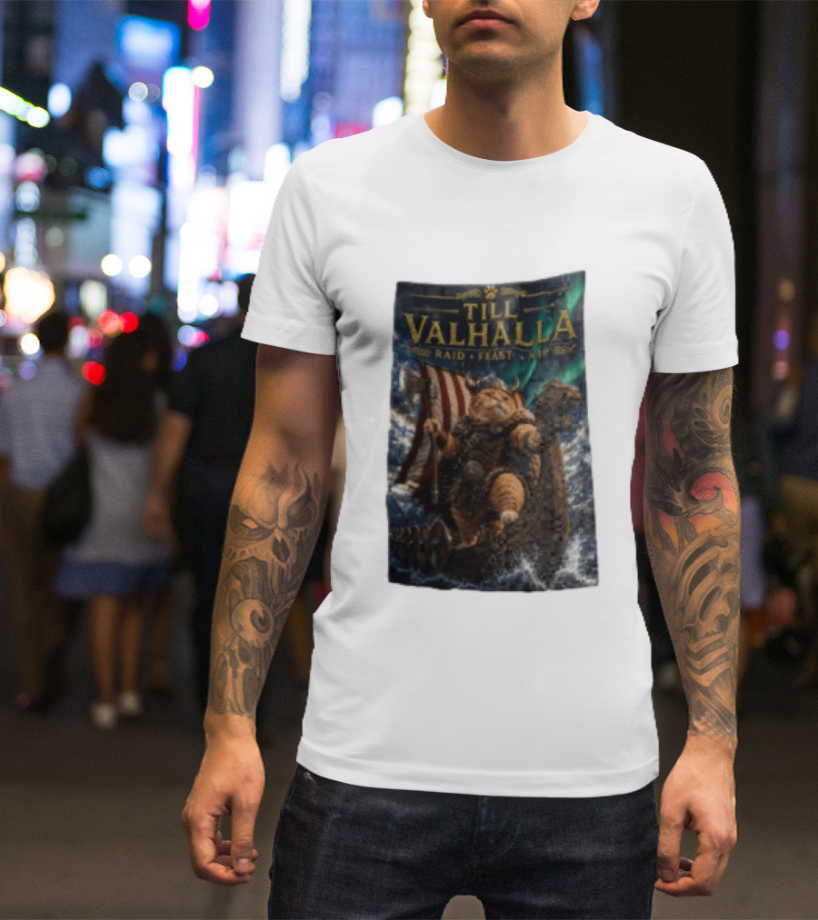 Till Valhalla Raid Feast Nap Viking Cat On Longship With Northern Lights T-Shirt