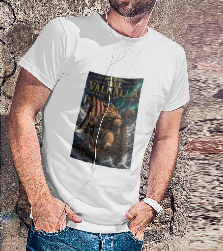 Till Valhalla Raid Feast Nap Viking Cat On Longship With Northern Lights T-Shirt