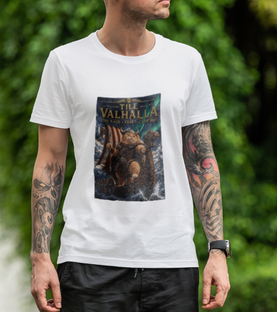 Till Valhalla Raid Feast Nap Viking Cat On Longship With Northern Lights T-Shirt