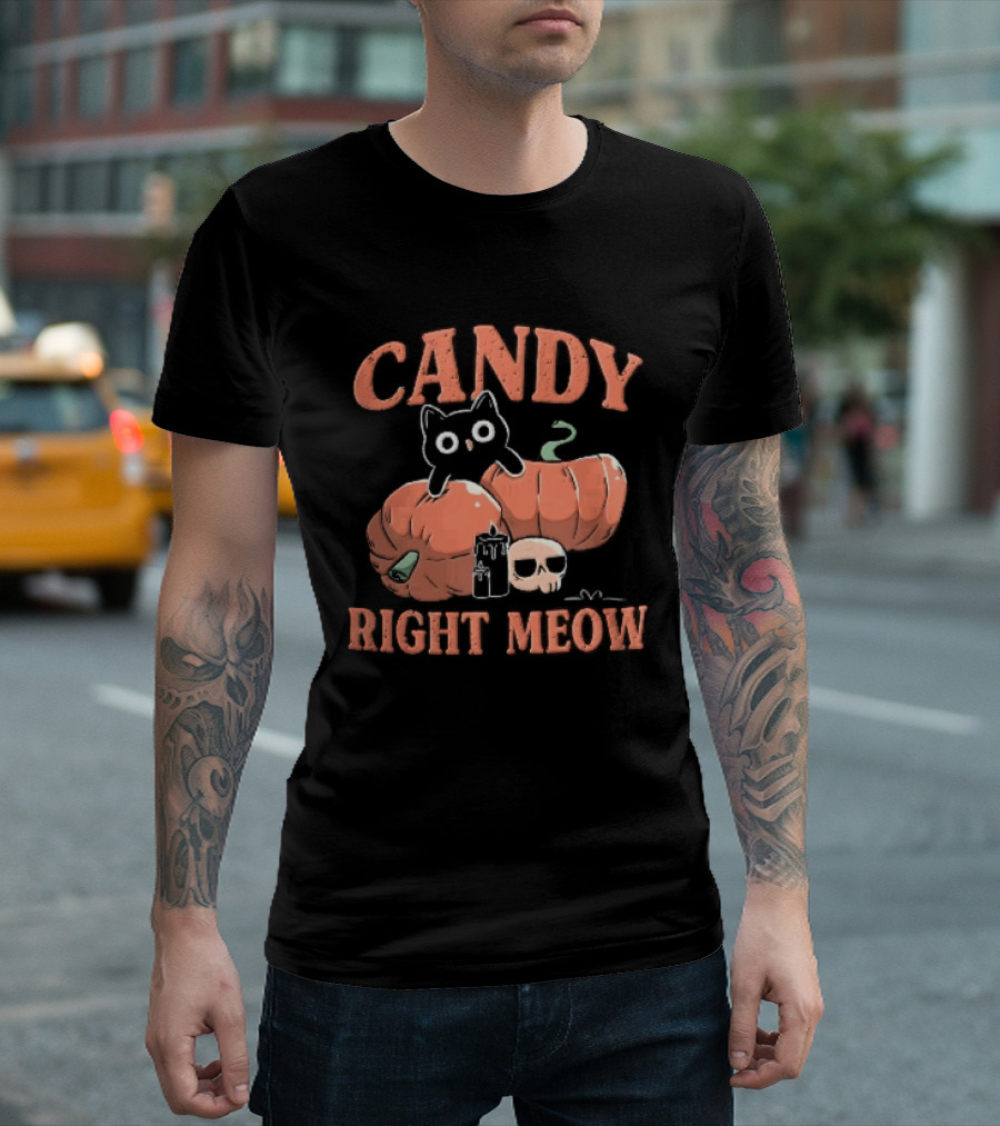 Candy Right Meow Black Cat Pumpkins Candles Skull Halloween T-Shirt