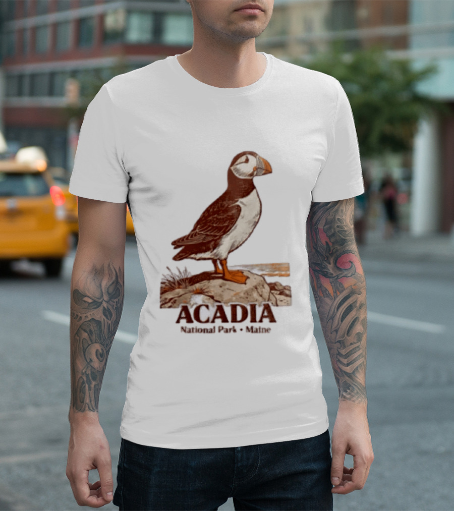 Acadia National Park Maine Puffin Standing On Rock T-Shirt