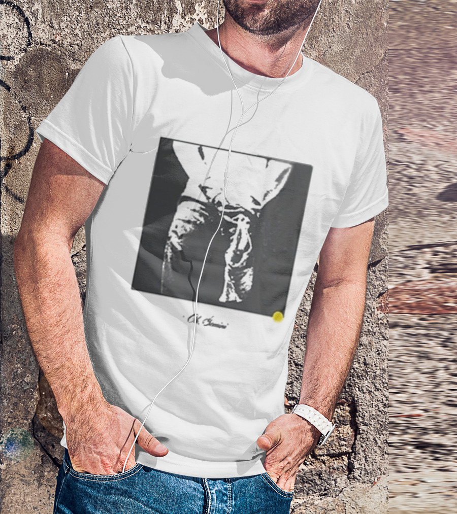 Oh Gemini Role Model Photo T-Shirt