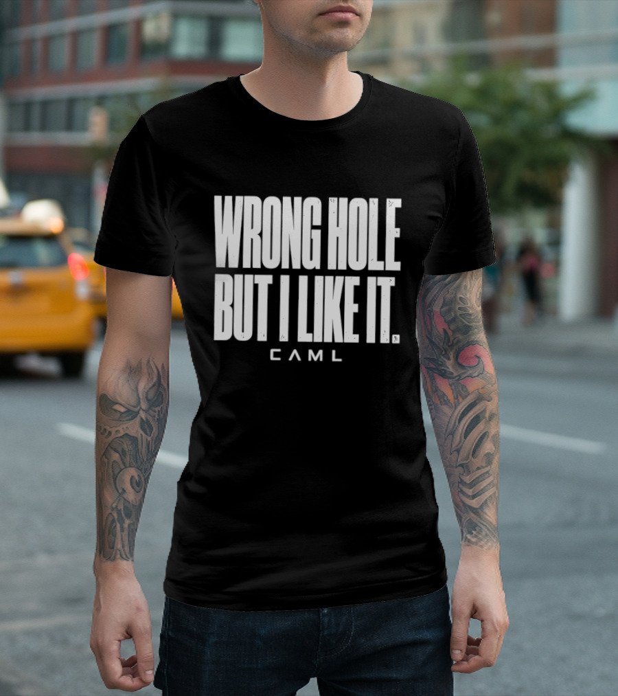 Wrong Hole But I Like It Distressed Sarcastic Saying CAML T-Shirt