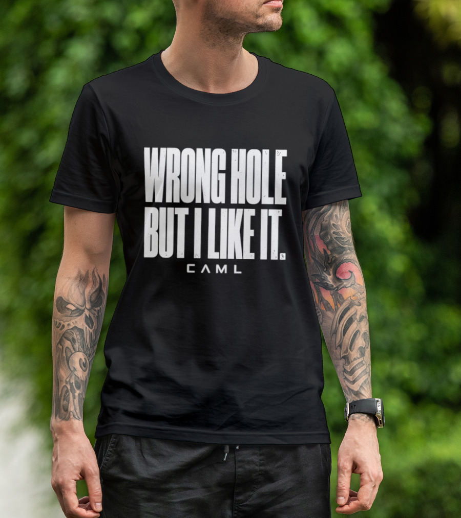 Wrong Hole But I Like It Distressed Sarcastic Saying CAML T-Shirt