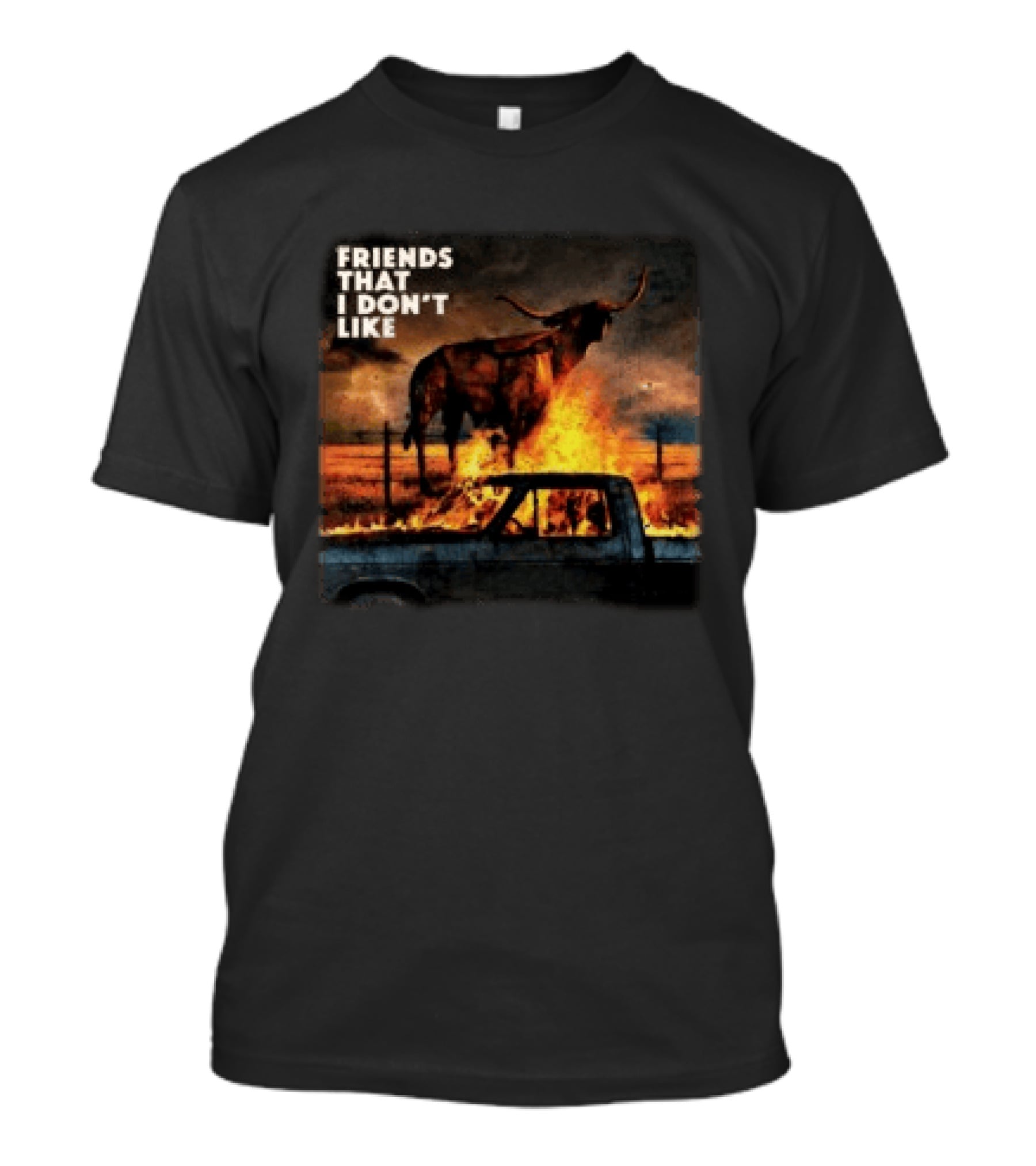 FRIENDS THAT I DON'T LIKE Dexter And The Moonrocks Store Fire Album T-Shirt