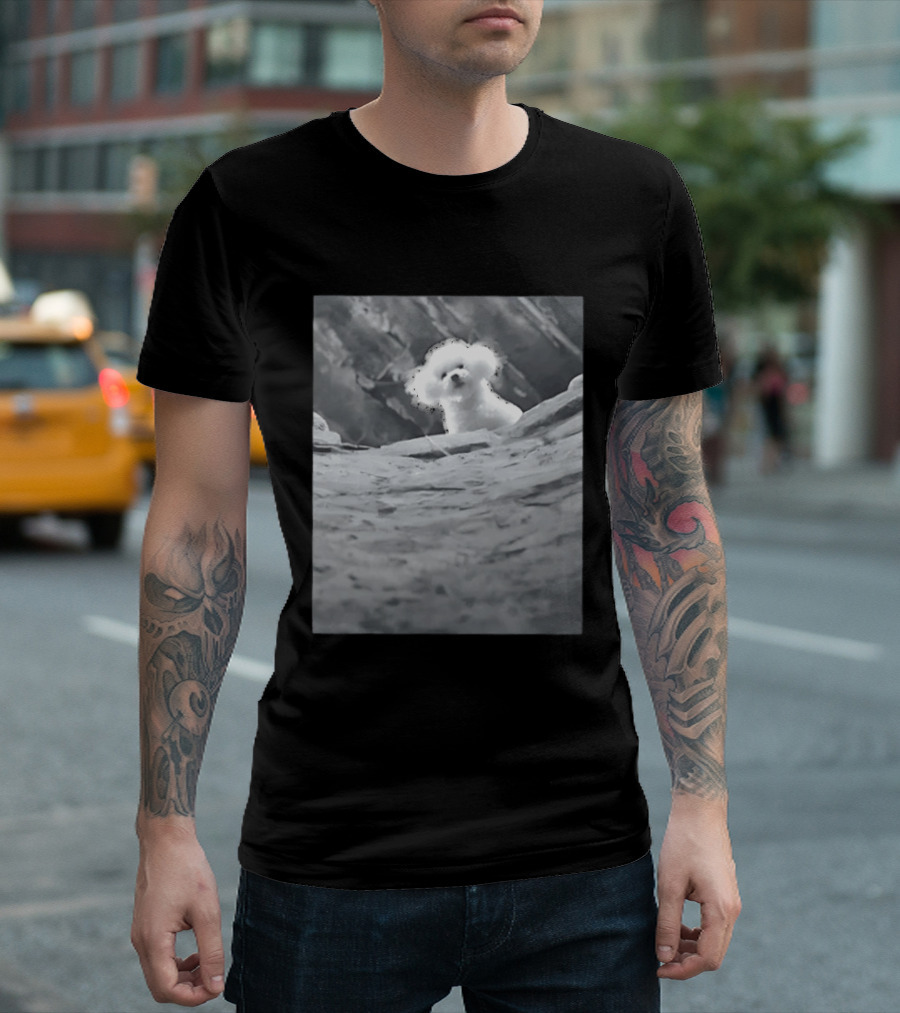Peeking Fluffy Dog In Rocky Landscape T-Shirt