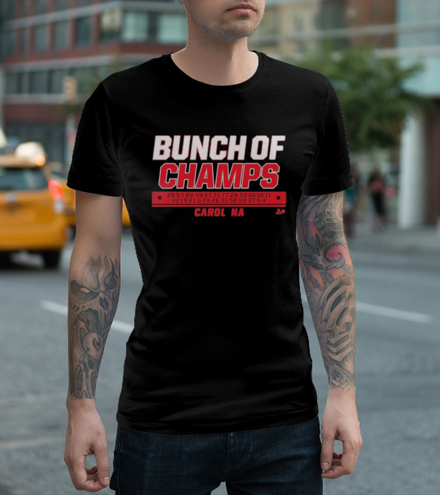 Bunch Of Champs Carolina Hockey Numbers Series T-Shirt