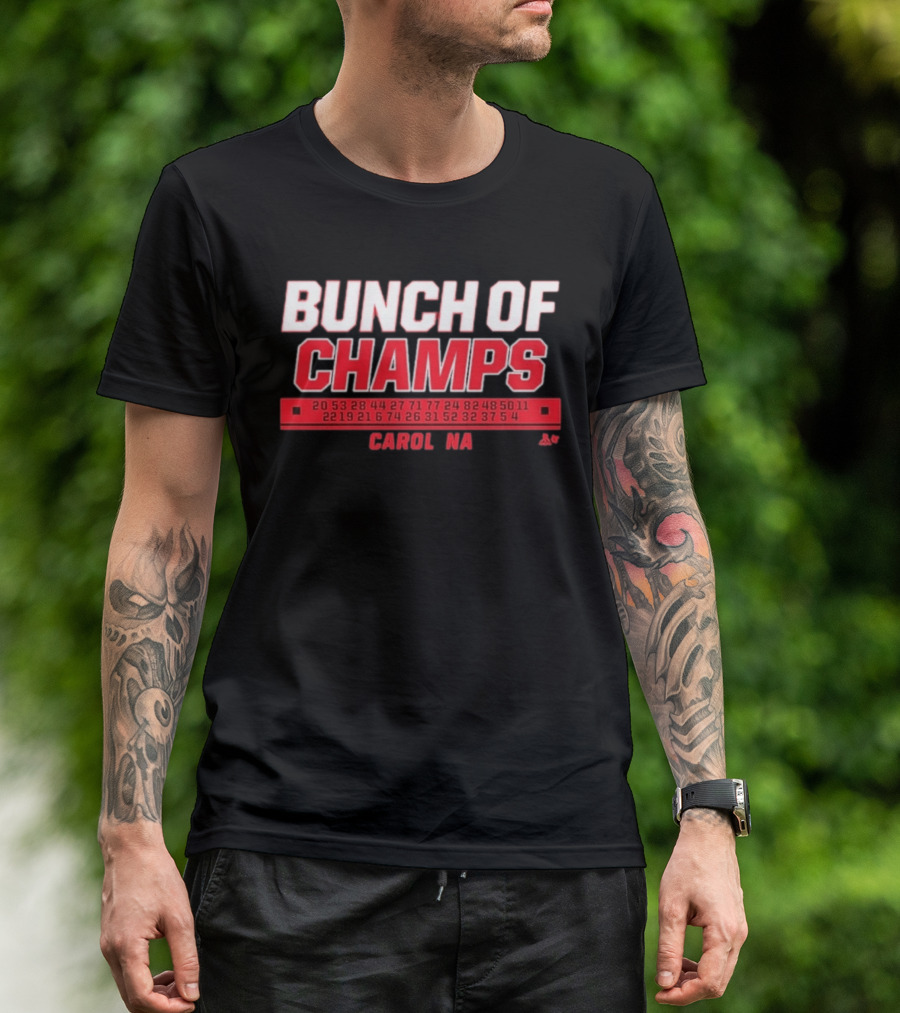 Bunch Of Champs Carolina Hockey Numbers Series T-Shirt