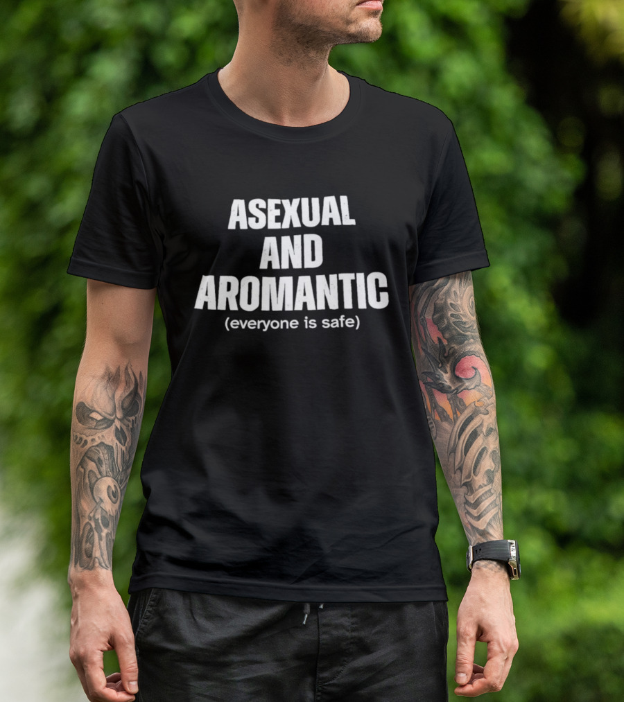 Asexual And Aromantic Everyone Is Safe Inclusive Message T-Shirt