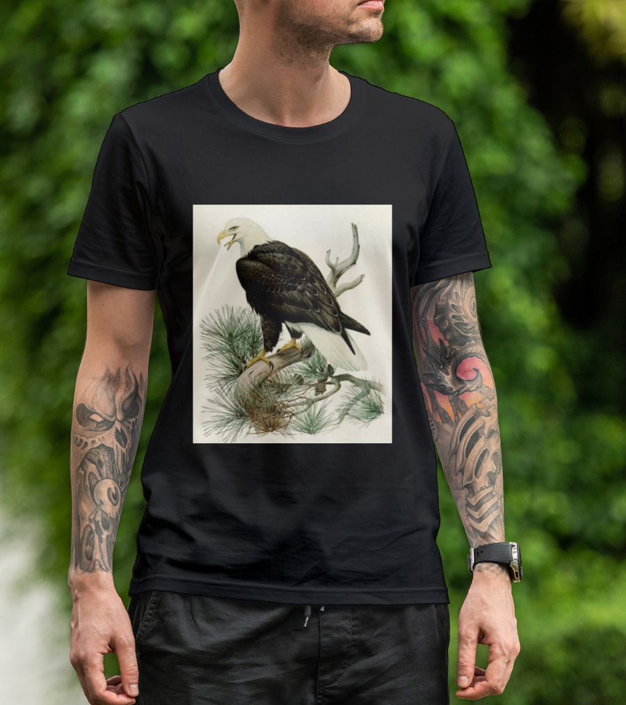 Roger Tory Peterson Bald Eagle Illustration On Stone Background 2026 T-Shirt