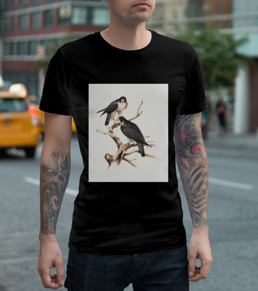 Roger Tory Peterson Peregrines 2026 Adult Ash Bird T-Shirt