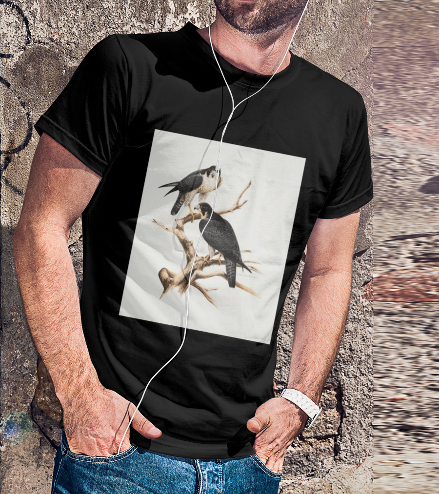 Roger Tory Peterson Peregrines 2026 Adult Ash Bird T-Shirt