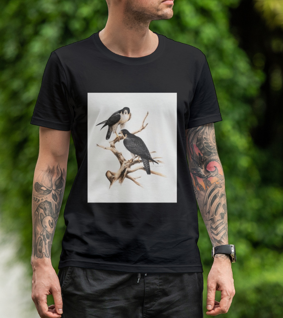 Roger Tory Peterson Peregrines 2026 Adult Ash Bird T-Shirt