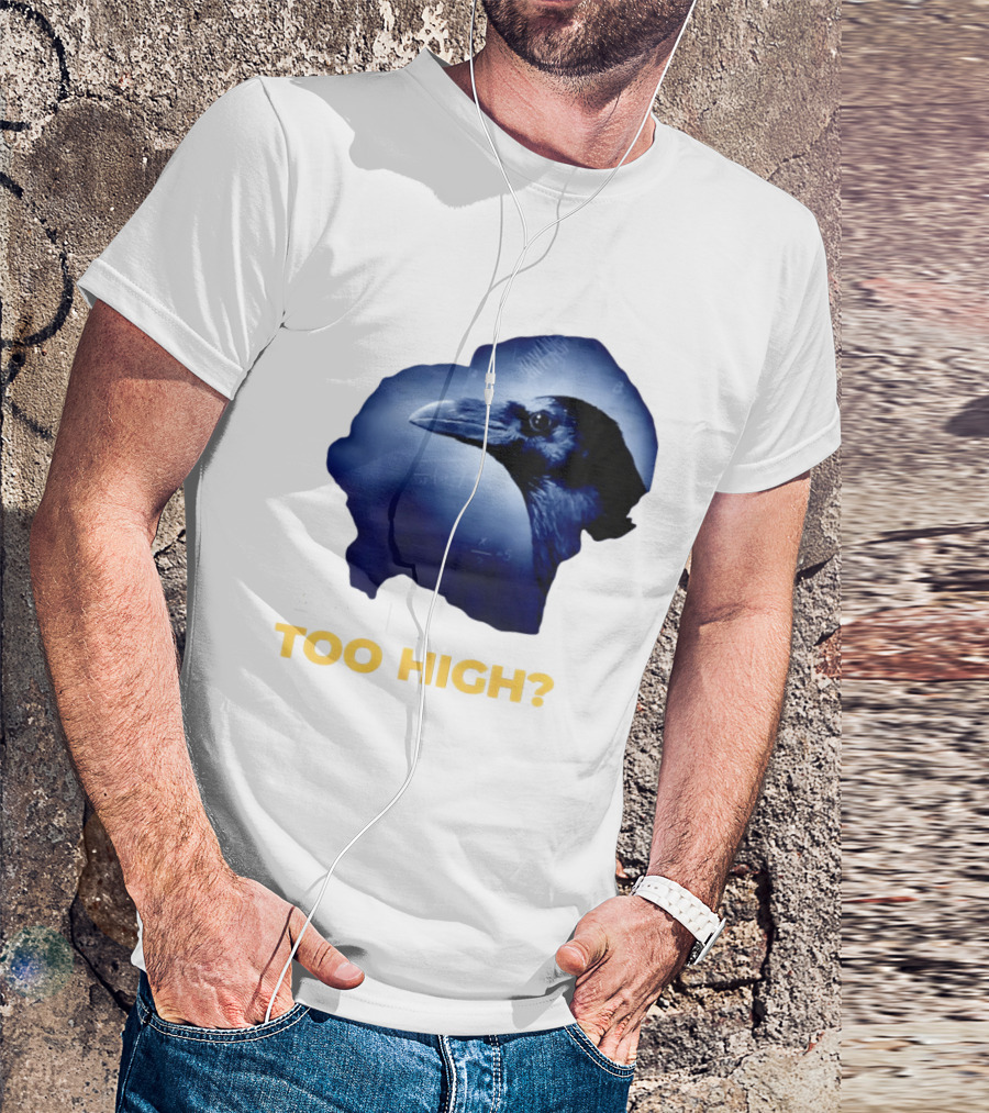 An IQ Too High Raven Sarcasm Meme T-Shirt